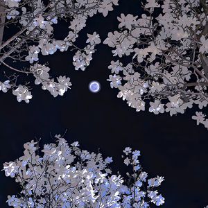 动漫❌妓女❌大胸❌无尽
