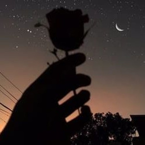 动漫❌妓女❌大胸❌无尽
